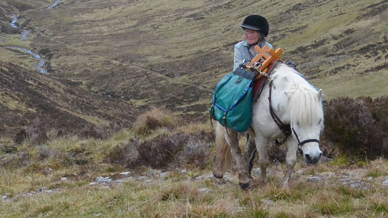 Rehomed pony explores Scottish Highlands